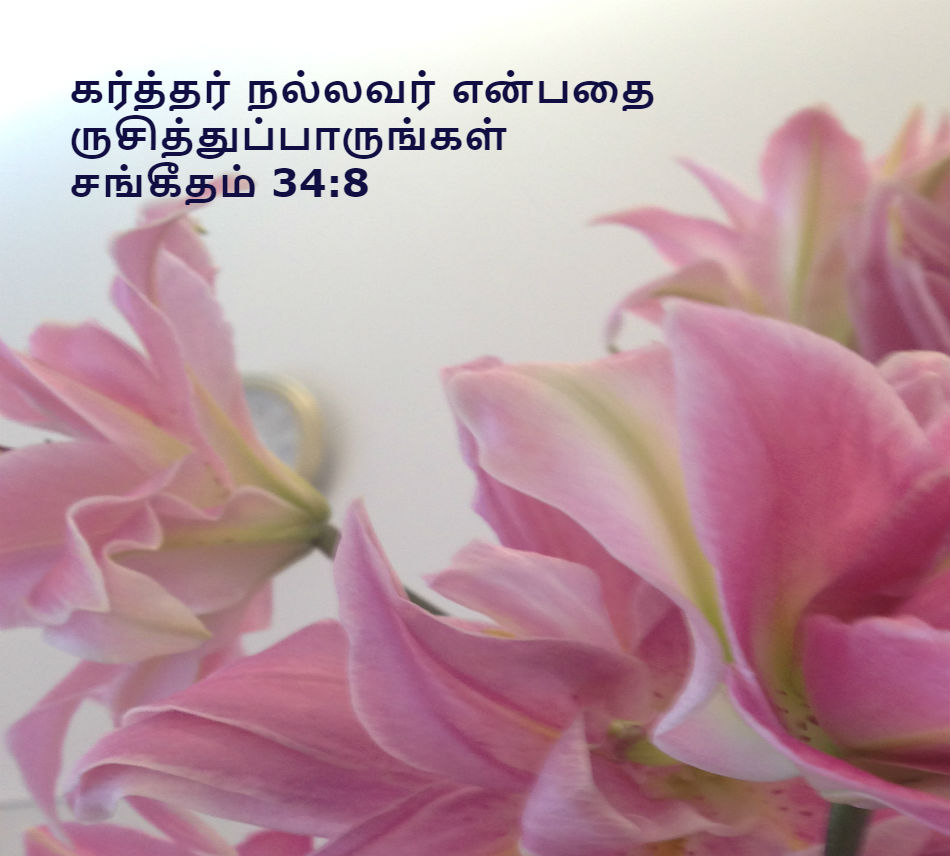 Women's Fellowship